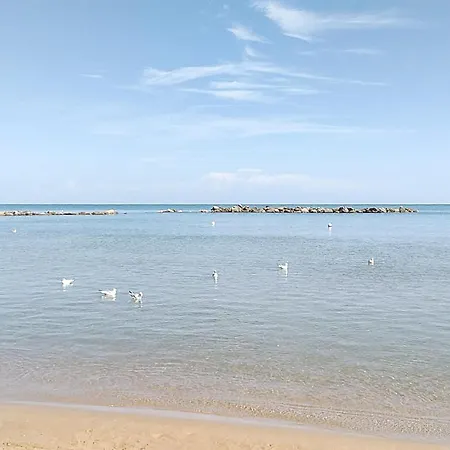 Apartment Lovely In With Wifi Pesaro